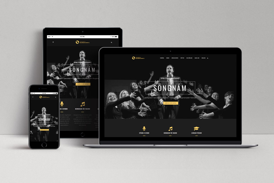 Söngskóli vefsíða preview